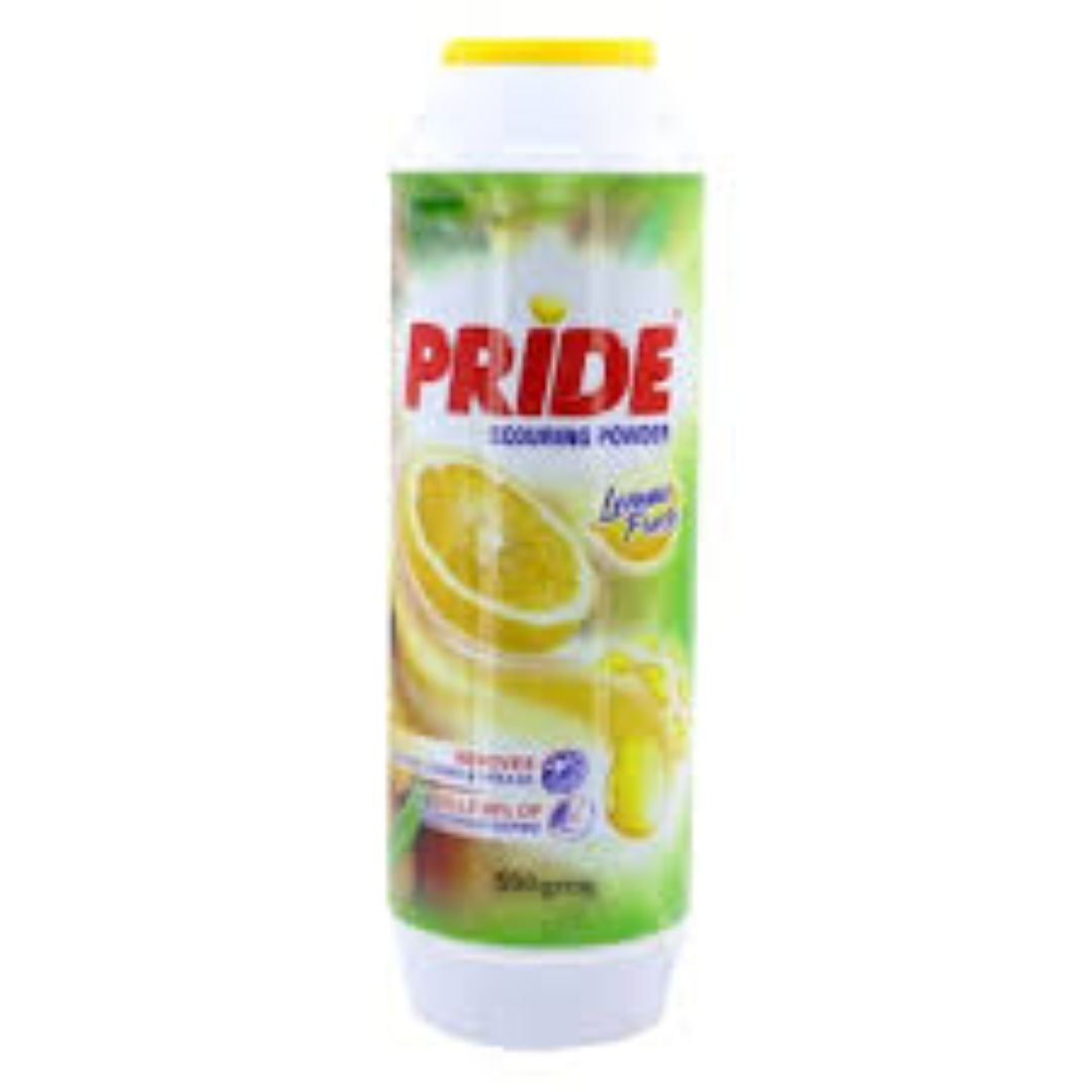 PARI SCOURING POWDER 500G
